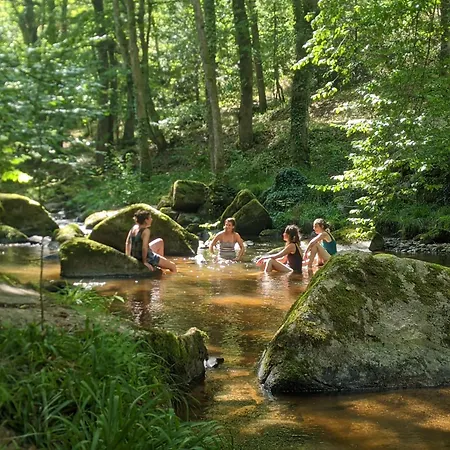 Des Touristes A *